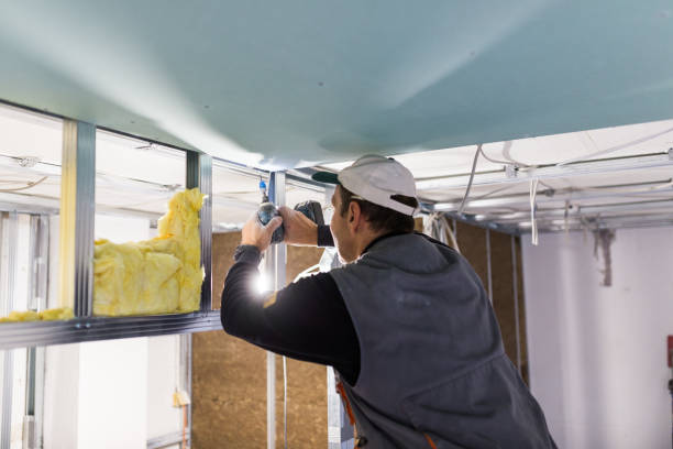 Best Insulation for Specific Applications in Palmyra, MO