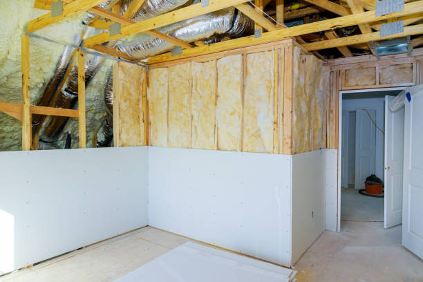 Best Commercial Insulation in Palmyra, MO