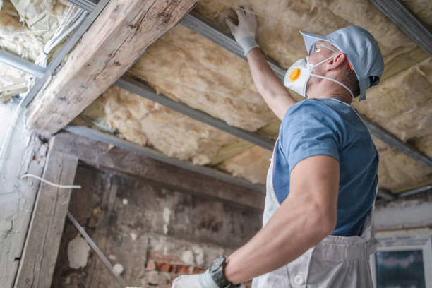 Best Types of Insulation in Palmyra, MO